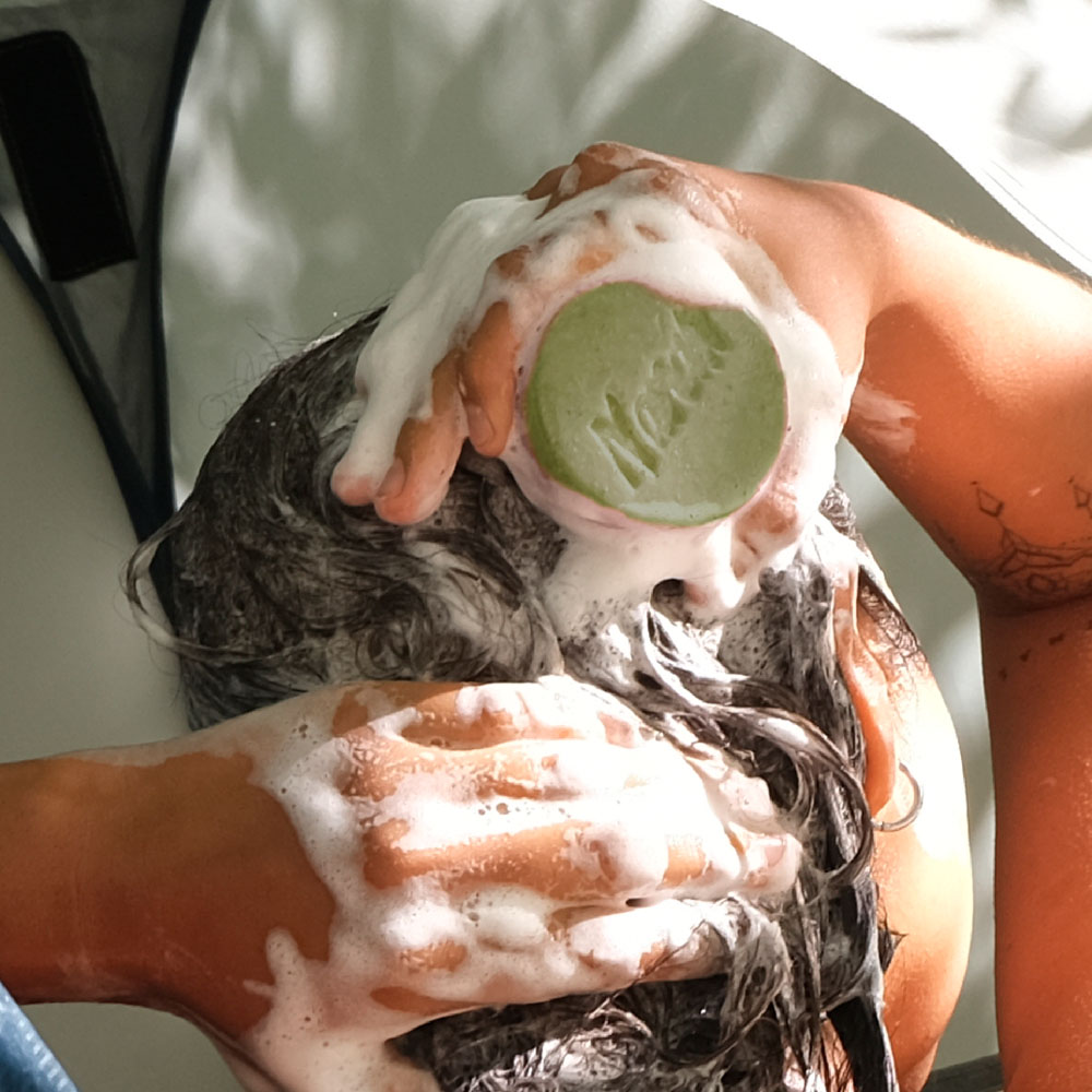 sha ant 6 es webcat sha ant 6.jpg