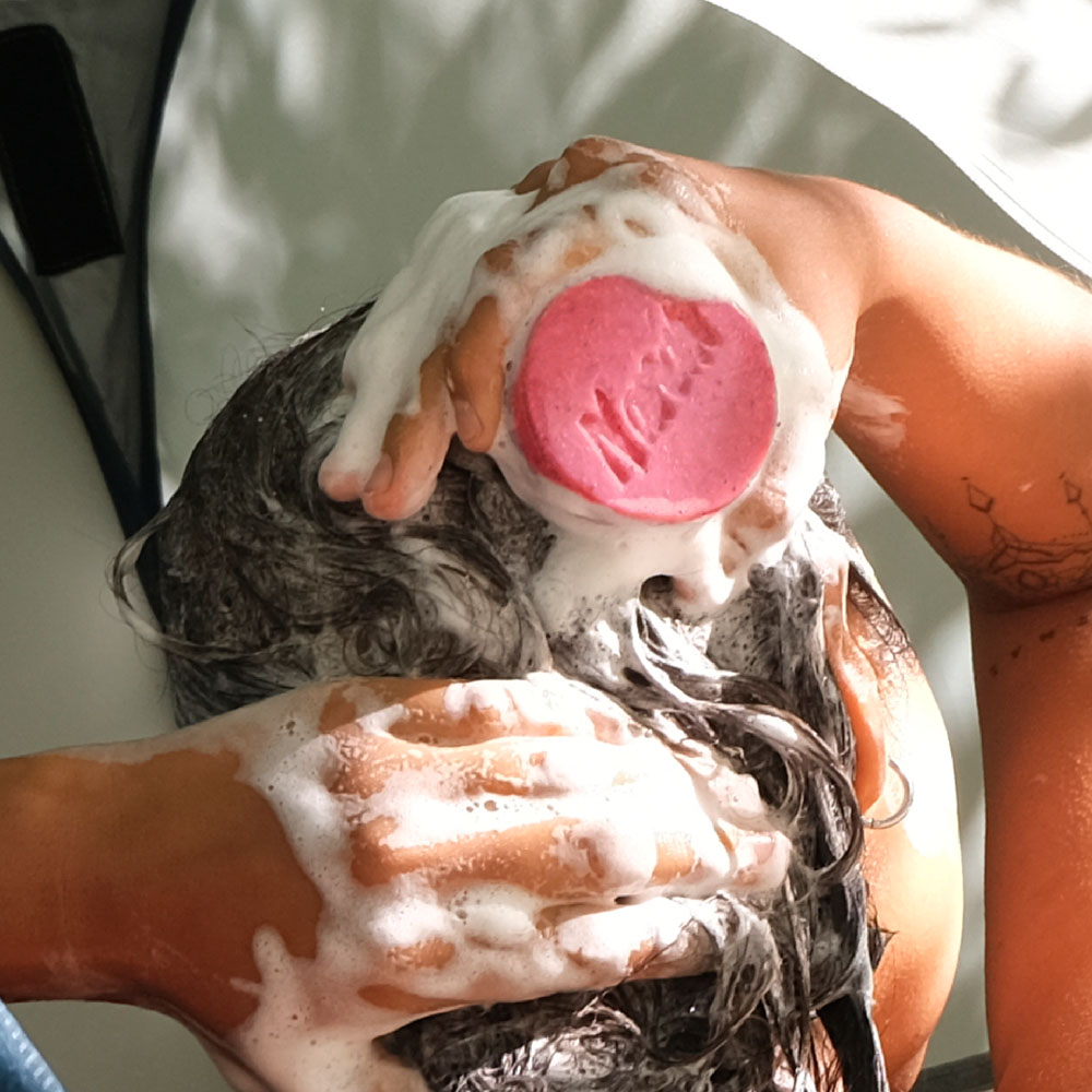 sha pit 6 es webcat sha pit 6.jpg